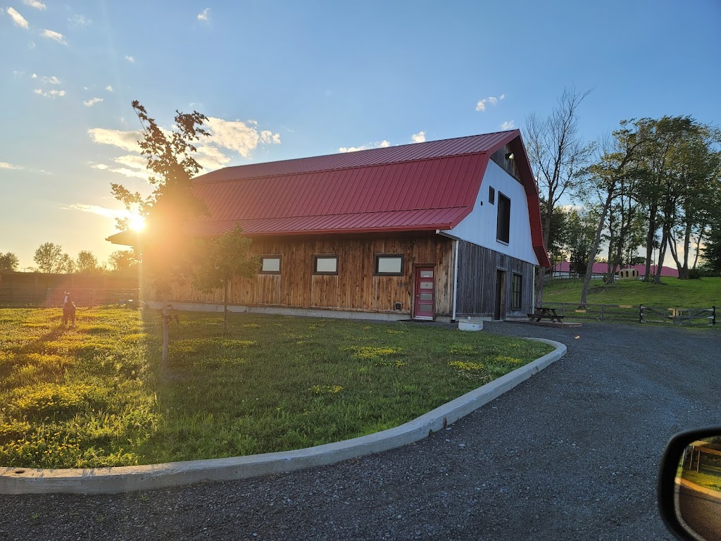 Rénomag Ranch | 2895 Chem. Martin, Terrebonne, QC J6X 4N8, Canada | Phone: (514) 594-9920