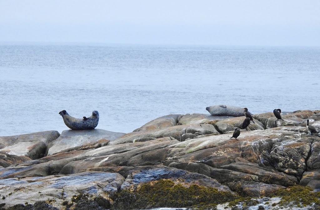 Kejimkujik National Park Seaside | 1188 St Catherines River Rd, Port Joli, NS B0T 1S0, Canada | Phone: (902) 682-2772