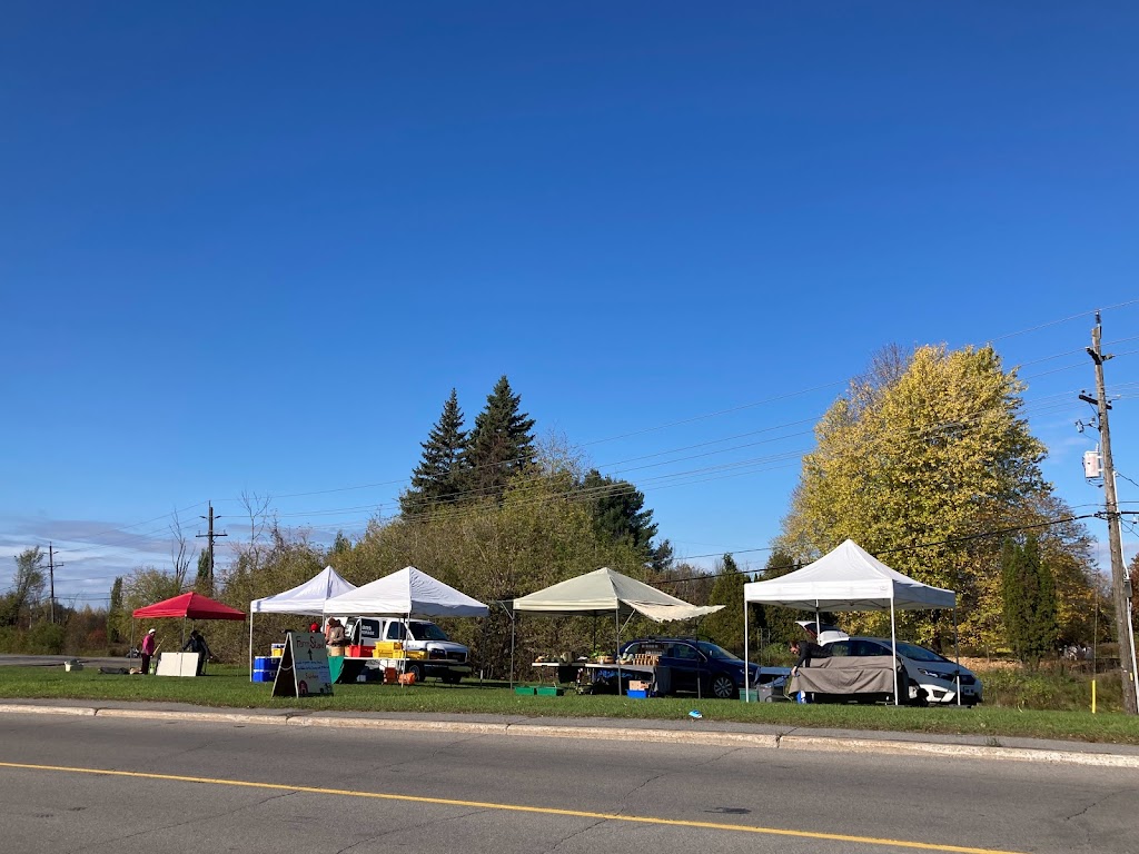 Just Food Farm Stand | 2391 Pépin Ct, Gloucester, ON K1B 4C4, Canada | Phone: (613) 981-4568