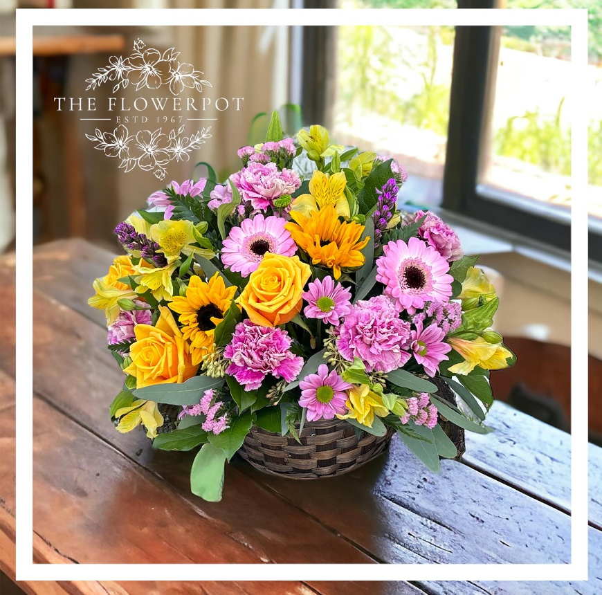 Comox Flower Pot | 2452 Clark Rd, Courtenay, BC V9J 1T1, Canada | Phone: (250) 339-2122