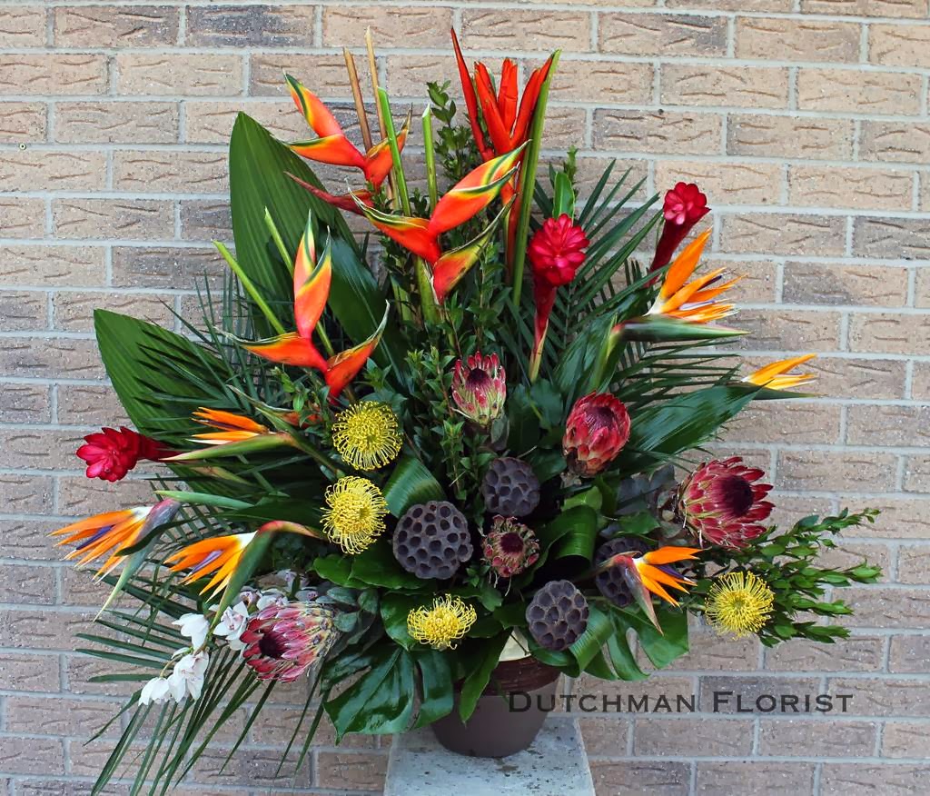 Dutchman Florist | 218 Barton St, Stoney Creek, ON L8E 2K2, Canada | Phone: (905) 662-3341