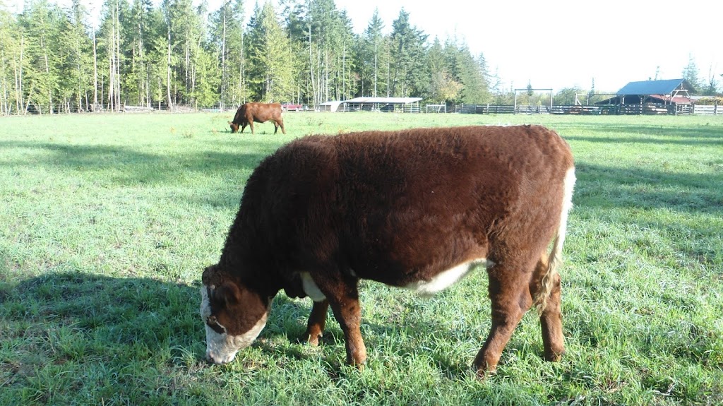 Shiloh Forest Farm | 3449 Slaney Rd, Qualicum Beach, BC V9K 1X5, Canada | Phone: (250) 752-6545