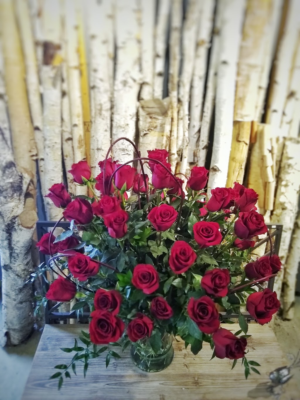 Oak Farms Ltd The Flower Outlet | 96 Oak St W, Leamington, ON N8H 2B6, Canada | Phone: (519) 326-9322