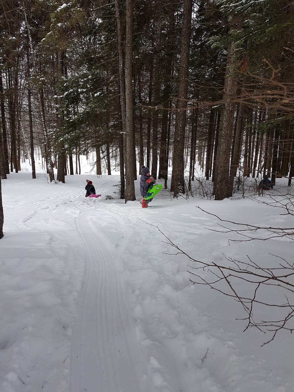 Parc de lObservatoire | 478 Avenue de lObservatoire, Sainte-Marie, QC G6E 3E4, Canada