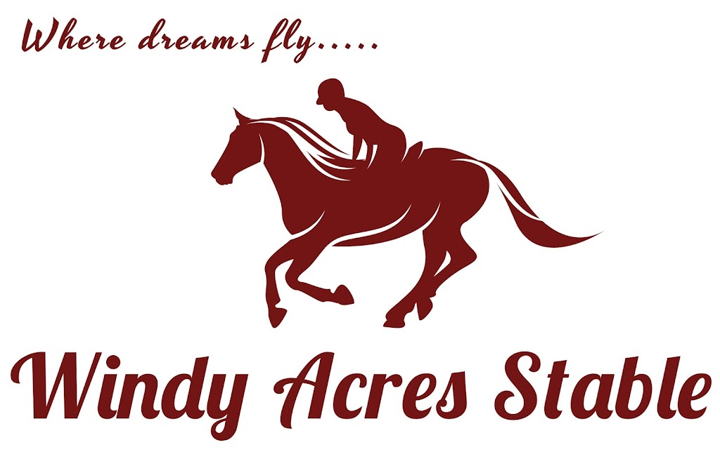 Windy Acres Stable | 3908 Neff Rd, Stevensville, ON L0S 1S0, Canada | Phone: (905) 382-5779