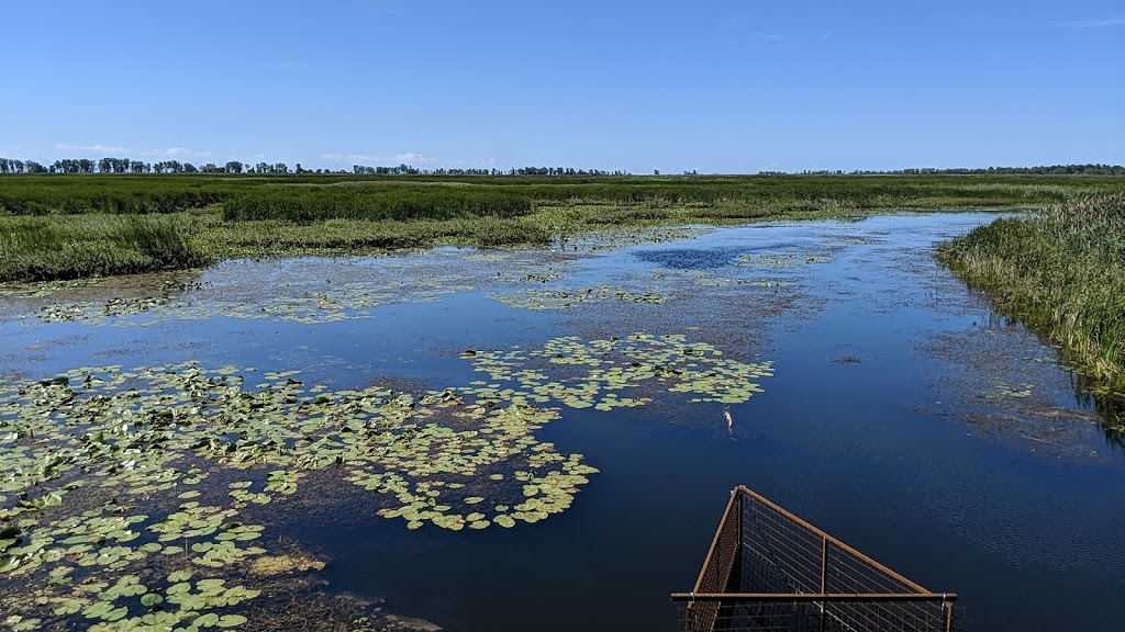 Long Point Birding Trail 6 (Crown Marsh) | Erie Blvd, Port Rowan, ON N0E 1M0, Canada