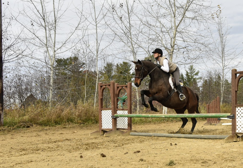 Canyon Creek Farm | 297 Barron Canyon Rd, Pembroke, ON K8A 6W7, Canada | Phone: (613) 312-7197