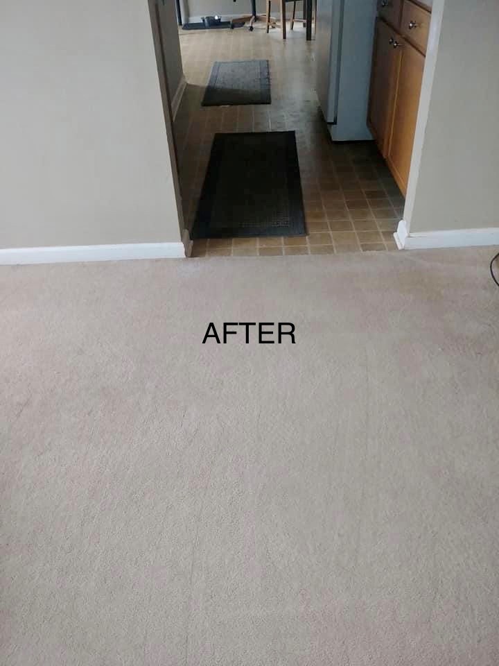 CR Carpet Cleaning | 31703 Charlotte Ave, Abbotsford, BC V2T 3Z6, Canada | Phone: (778) 536-2963
