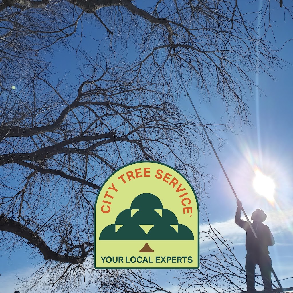 City Tree Service | 10910 69 Ave NW, Edmonton, AB T6H 2E5, Canada | Phone: (780) 271-8733