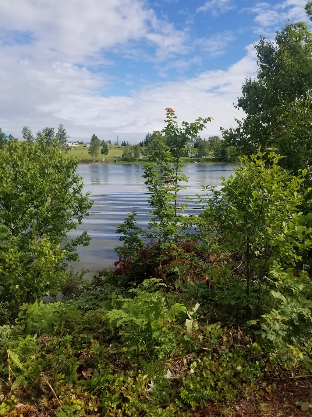 Caribou River Cottage Lodge | 1308 Shore Rd, Pictou, NS B0K 1H0, Canada | Phone: (902) 485-6352