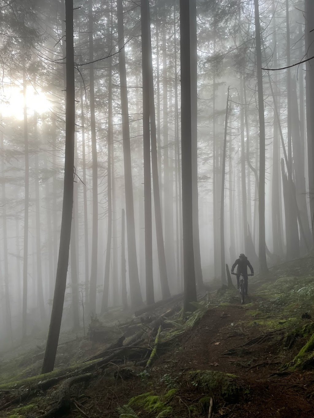 Wickenden Bike Service | 4743 Cove Cliff Rd, North Vancouver, BC V7G 1H7, Canada | Phone: (604) 970-3936