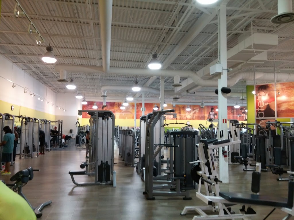 LA Fitness | 539 Steeles Ave E, Brampton, ON L6W 4S2, Canada | Phone: (905) 452-7800