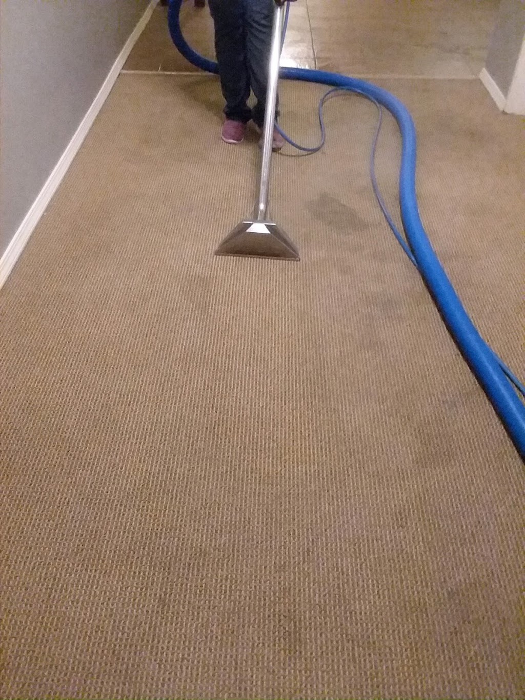 Prime Carpet Cleaning | 6 Sugarpine Place, Bellingham, WA 98229, USA | Phone: (360) 595-3750