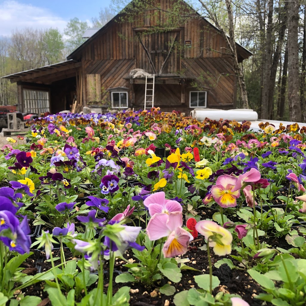 Les Jardins De Sophie | 515 Chem. de lAnse A Pelletier, Saint-Fulgence, QC G0V 1S0, Canada | Phone: (418) 674-1141