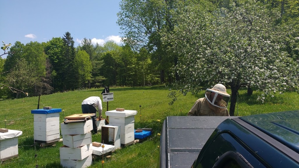 Muskoka Honey Bee Products Inc. | 2840 ON-60, Dwight, ON P0A 1H0, Canada | Phone: (705) 783-3579