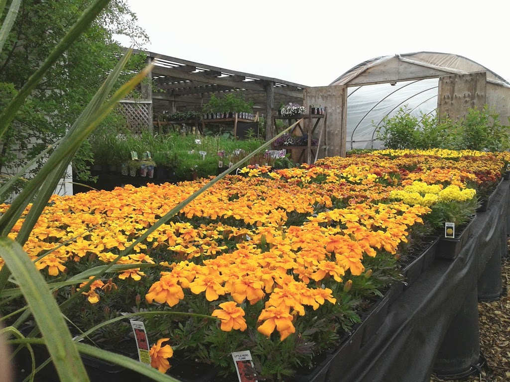 Sunland Landscape & Garden Center | 2737 Bloomington Rd, Gormley, ON L0H 1G0, Canada | Phone: (905) 888-1962