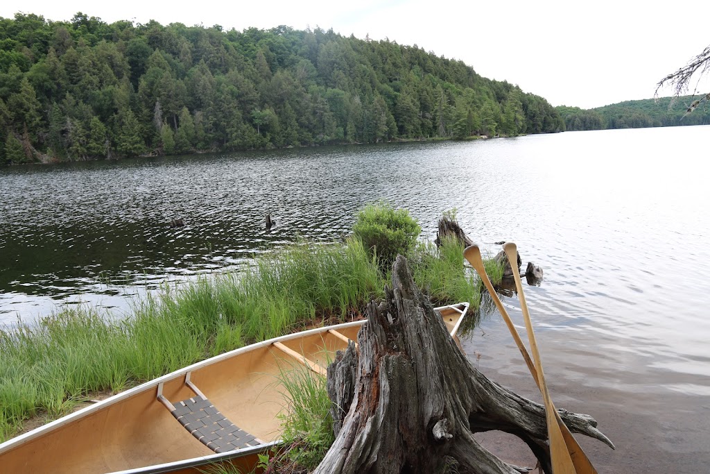 Canoe Algonquin | 1M0, 1914 Hwy 518, Kearney, ON P0A 1J0, Canada | Phone: (705) 636-5956