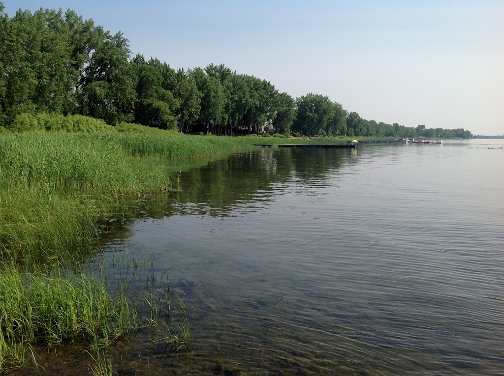 Parc de la Frayère | Boulevard Marie-Victorin, Boucherville, QC J4B 0B6, Canada