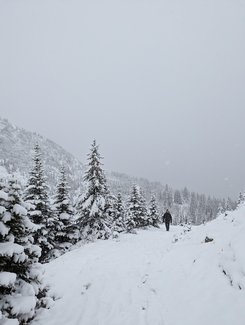 Bow Summit and Peyto Lake | Icefields Pkwy, Jasper, AB T0L 1E0, Canada | Phone: (403) 522-3833