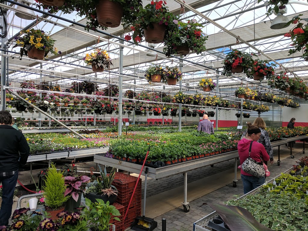 Westland Greenhouses | 10133 Lakeshore Rd, Grand Bend, ON N0M 1T0, Canada | Phone: (519) 238-1321