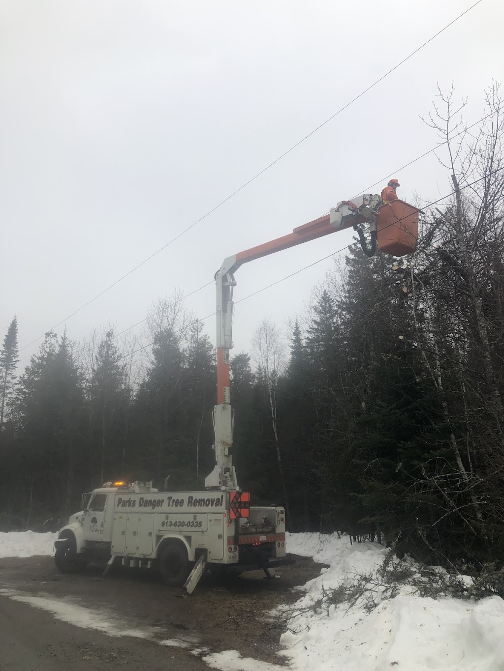 Parks Danger Tree Removal | ON-28, Bancroft, ON K0L 1C0, Canada | Phone: (613) 630-0335