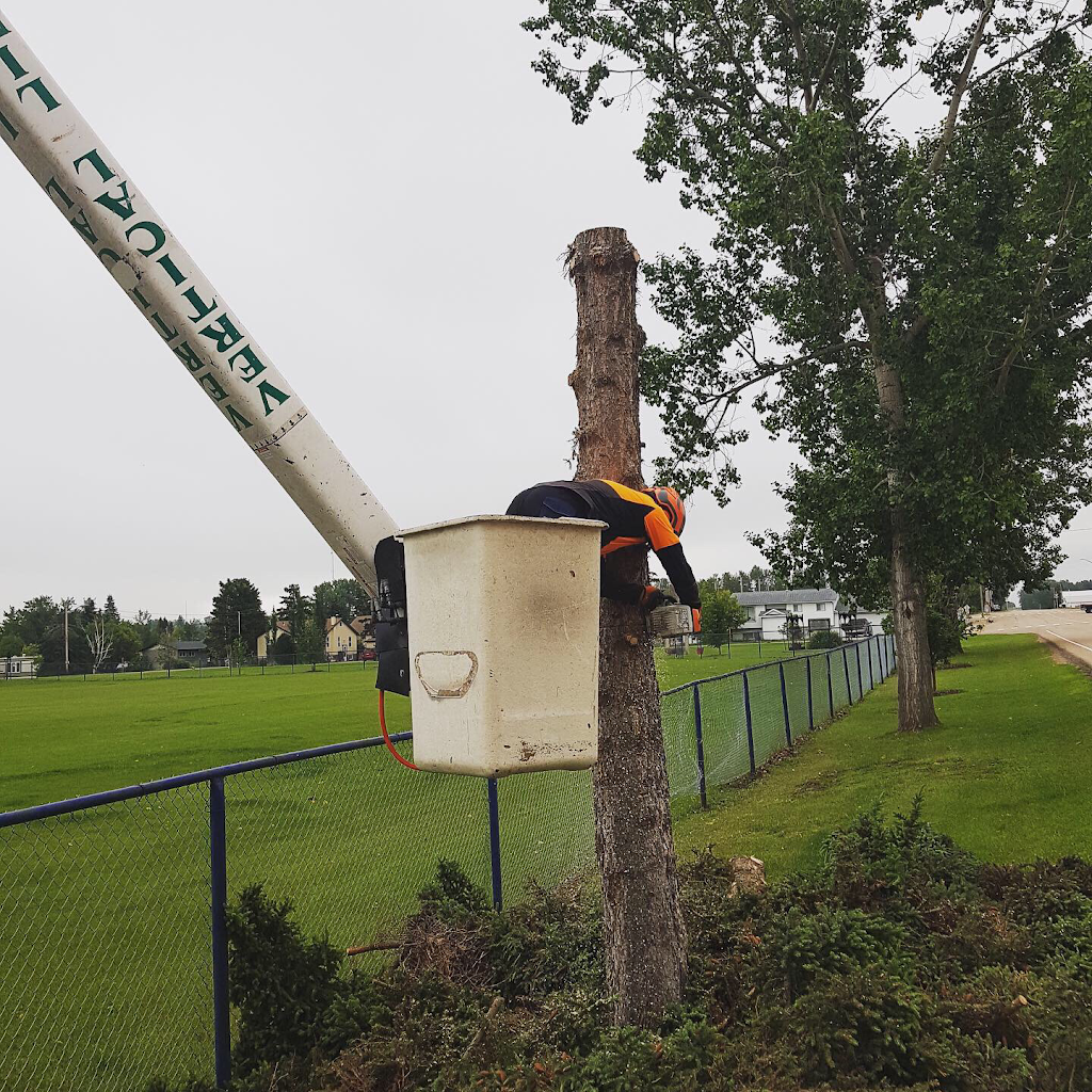 Vertical Limits Tree Care Services | 315 Barrett Dr, Red Deer, AB T4R 1J1, Canada | Phone: (403) 304-8421
