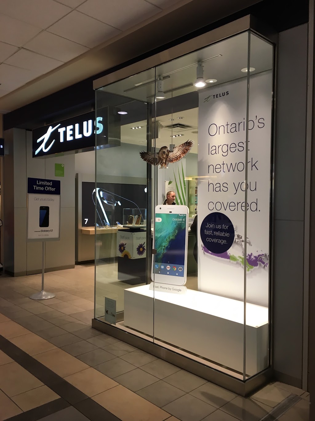 TELUS | 435 Stone Rd W UNIT 217B, Guelph, ON N1G 2X6, Canada | Phone: (519) 826-5360