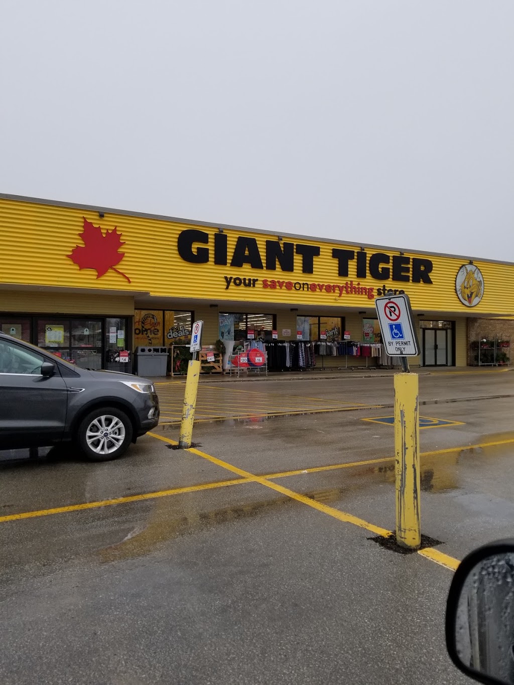 Giant Tiger | 216 Goderich St, Port Elgin, ON N0H 2C1, Canada | Phone: (519) 832-3207