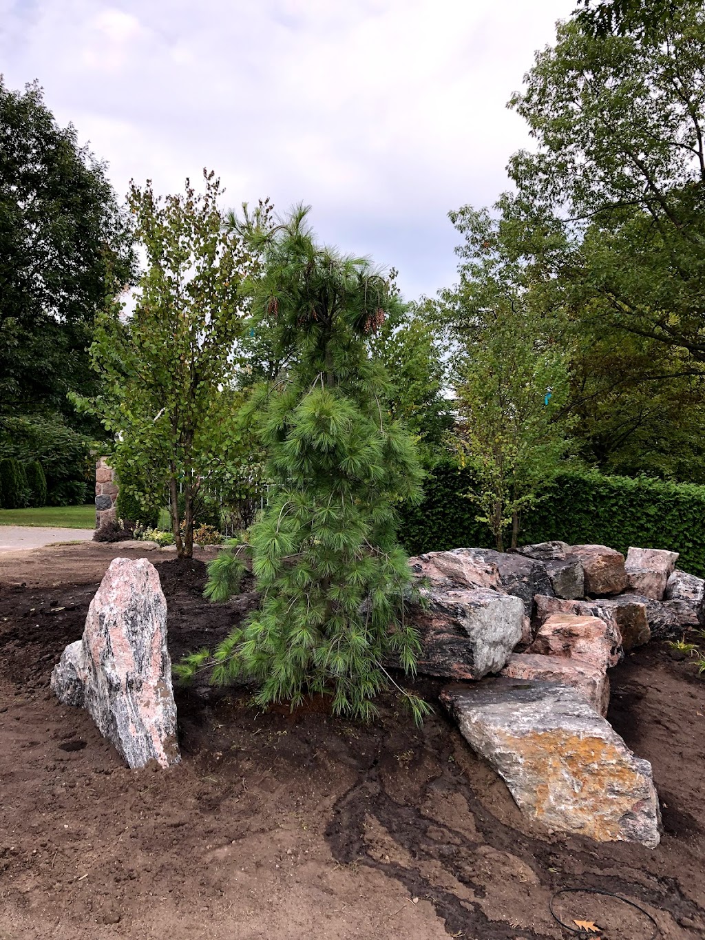 Arborhaus Landscape Design & Tree Care | 17264 Simcoe St, Manilla, ON K0M 2J0, Canada | Phone: (905) 243-6380