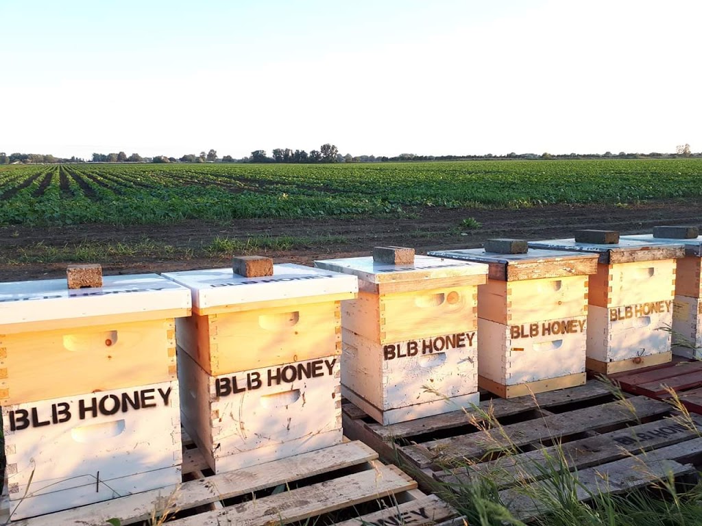 BLB Honey & Beekeeping Supplies | 102 Metcalfe Ave, Dresden, ON N0P 1M0, Canada | Phone: (519) 683-4363