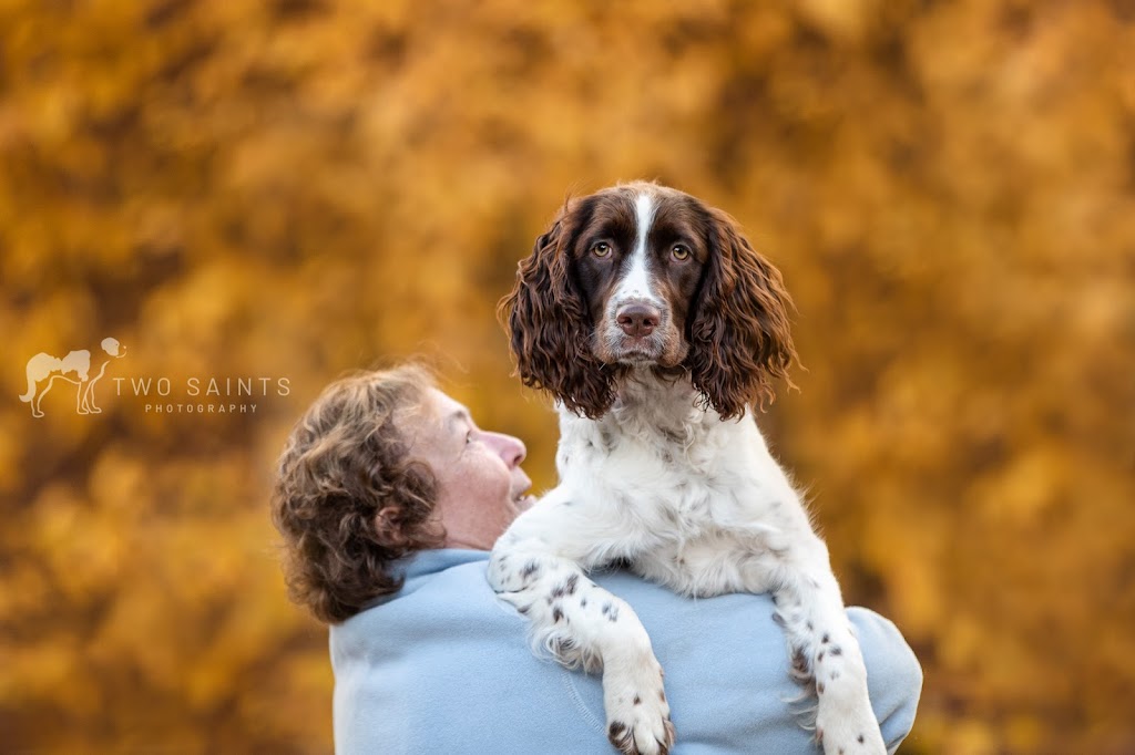 Oh My Dog Walking & Pet Photography | 24 Shelley Ave, St. Catharines, ON L2N 5L5, Canada | Phone: (905) 933-1035