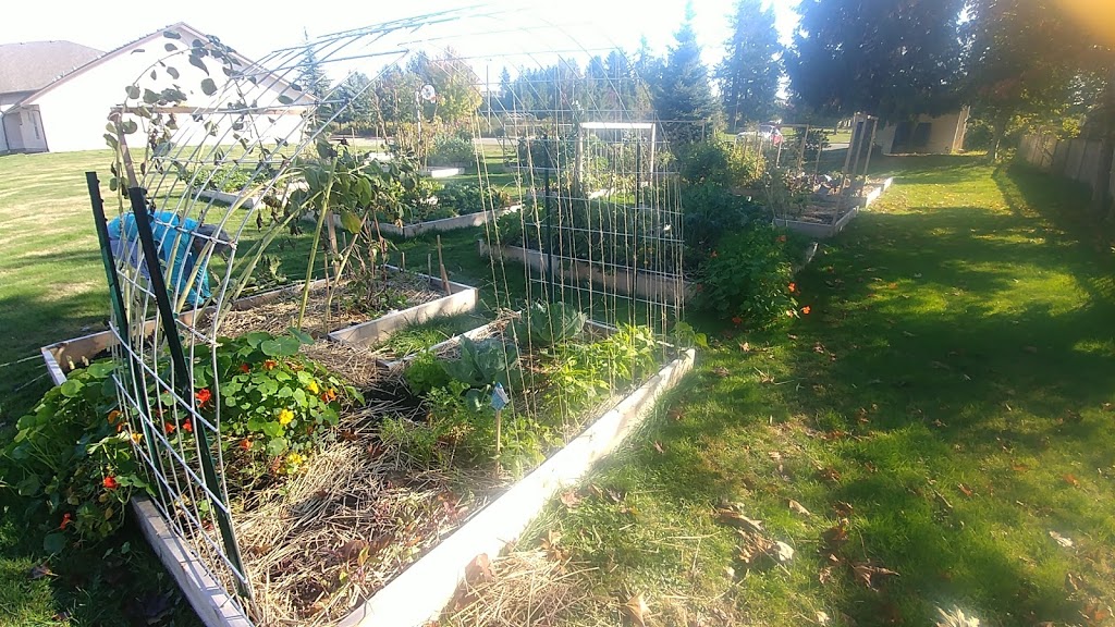 The Growth Project Garden Plots | 32715 Cherry Ave, Mission, BC V2V 2T8, Canada | Phone: (778) 709-0399