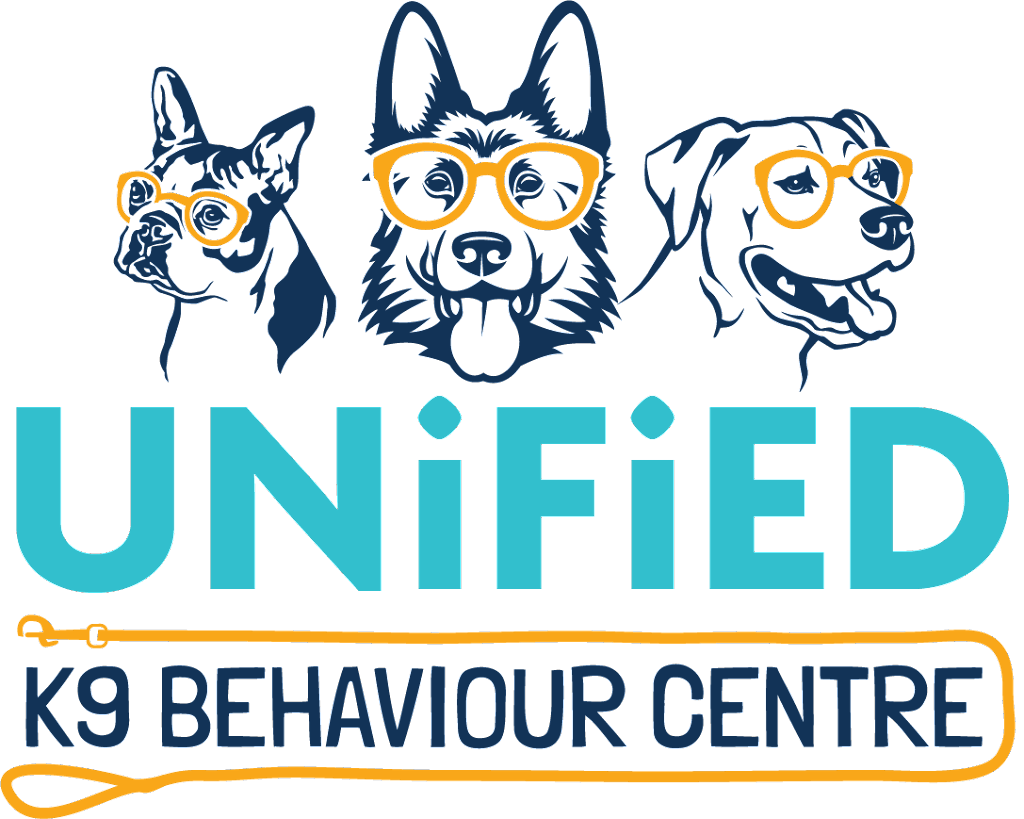 Unified K9 Behaviour Centre | 580 Steven Ct Building B, Unit 11, Newmarket, ON L3Y 6Z3, Canada | Phone: (289) 383-4136