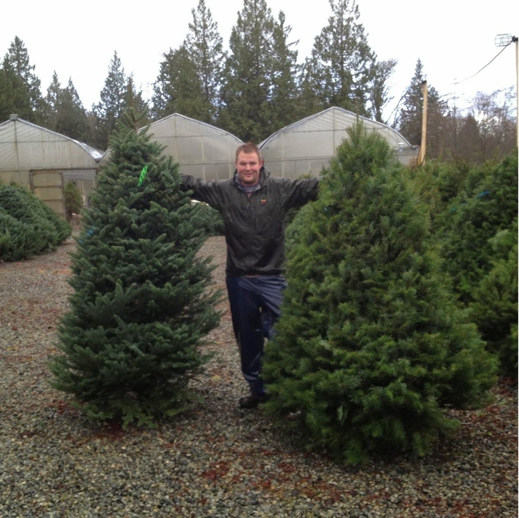 Christmas Tree Outlet | 24162 Dewdney Trunk Rd, Maple Ridge, BC V4R 1W6, Canada | Phone: (604) 788-8959