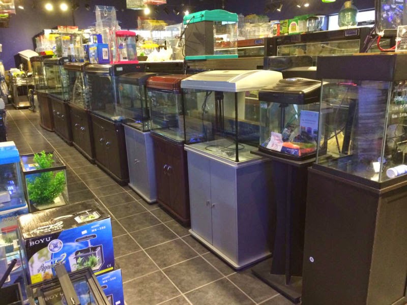 Markham Aquarium 2 U | 5 Hillcroft Dr, Markham, ON L3S 1R6, Canada | Phone: (905) 604-8895