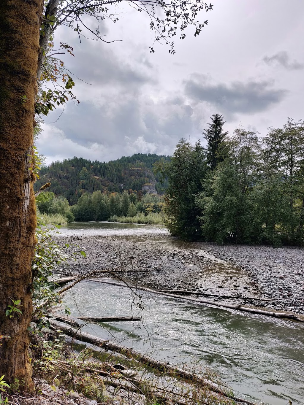 Mamquam Spawning Channels | 1940 Centennial Way, Squamish, BC V8B 0H3, Canada