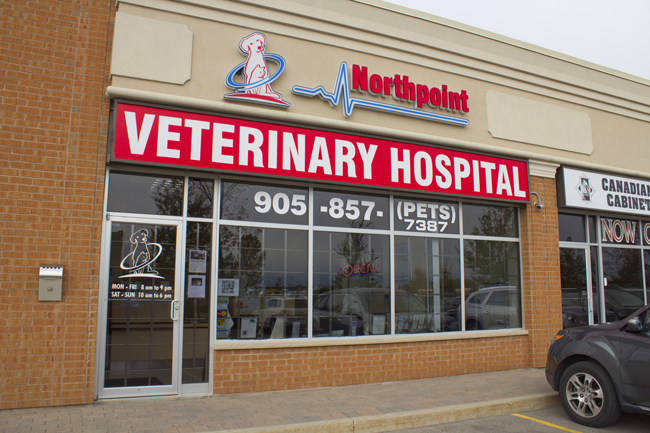 Northpoint Veterinary Hospital | 12599 Hwy 50 #4, Bolton, ON L7E 1M4, Canada | Phone: (905) 857-7387