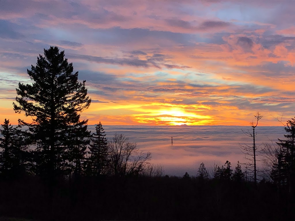 Sunset Swing | Harvest Drive, Abbotsford, BC V3G 1L2, Canada | Phone: (604) 854-0246