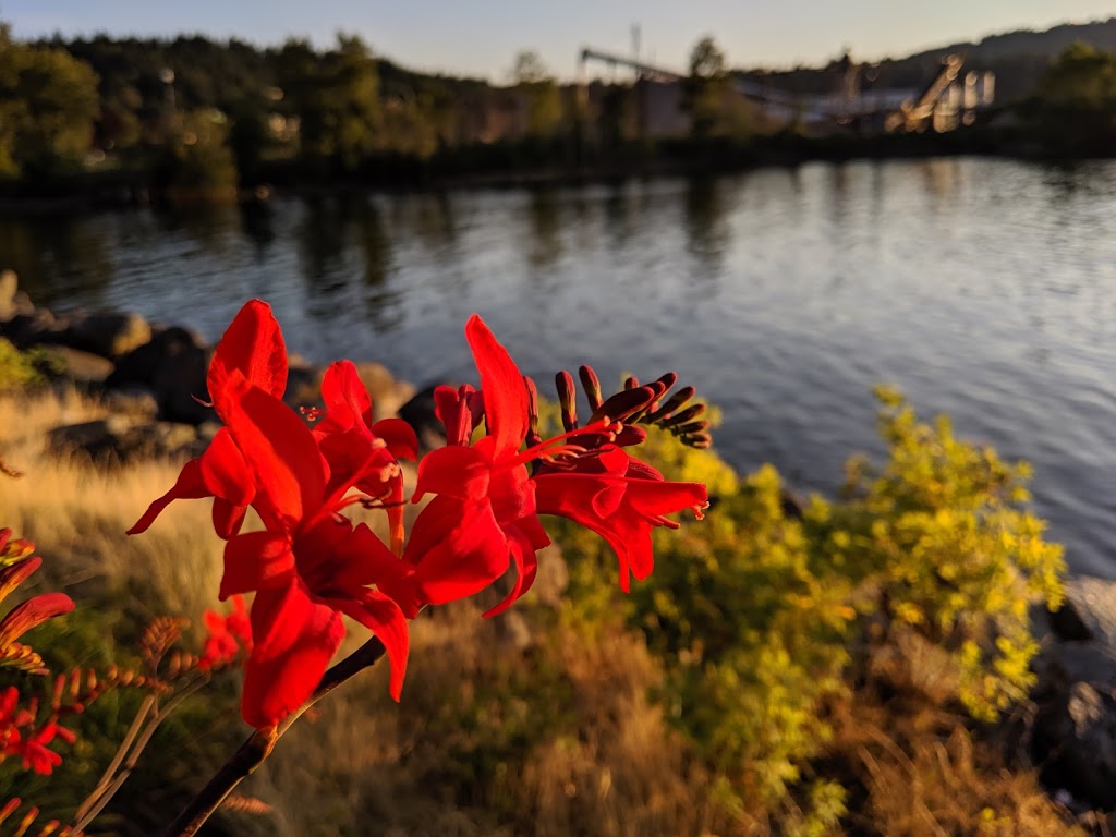 Inlet Rowing Club | 2715 Esplanade Ave, Port Moody, BC V3H 3P4, Canada | Phone: (604) 961-7323