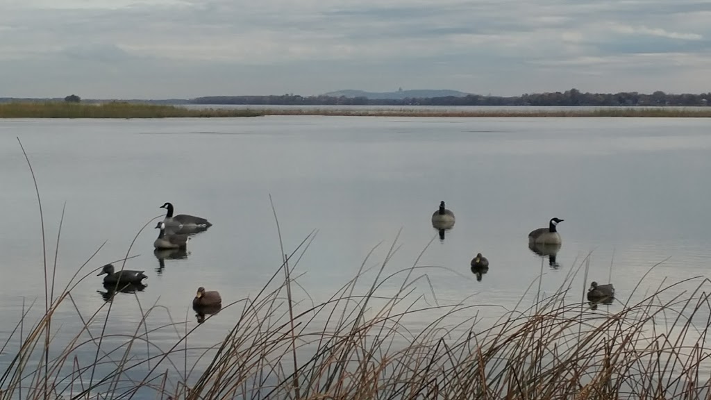 Îles de la Paix National Wildlife Area | Maple Grove, Léry, QC, Canada