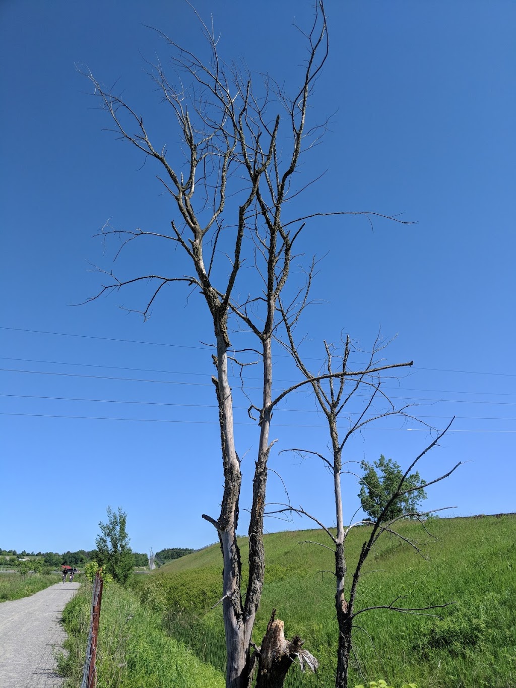 Parc du Bois-Joli | Boulevard Saint-René E, Gatineau, QC J8R 1N1, Canada