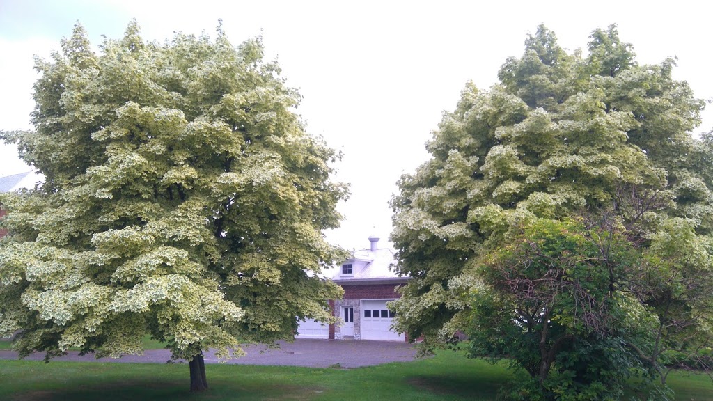 Fabrique de la Paroisse Notre-Dame-de-Bonsecours | 15 Chemin des Pionniers E, LIslet, QC G0R 2B0, Canada | Phone: (418) 247-5103