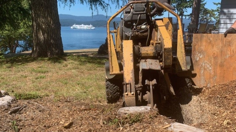 Signature Stump Grinding LTD | 6800 Burr Dr, Sooke, BC V9Z 0L1, Canada | Phone: (250) 883-3812