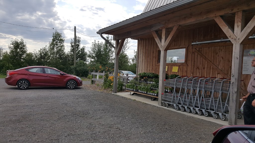 Ferme BM Forget - Kiosque chez Forget | 7901 Avenue Marcel-Villeneuve, Laval, QC H7A 0H9, Canada | Phone: (450) 665-9900