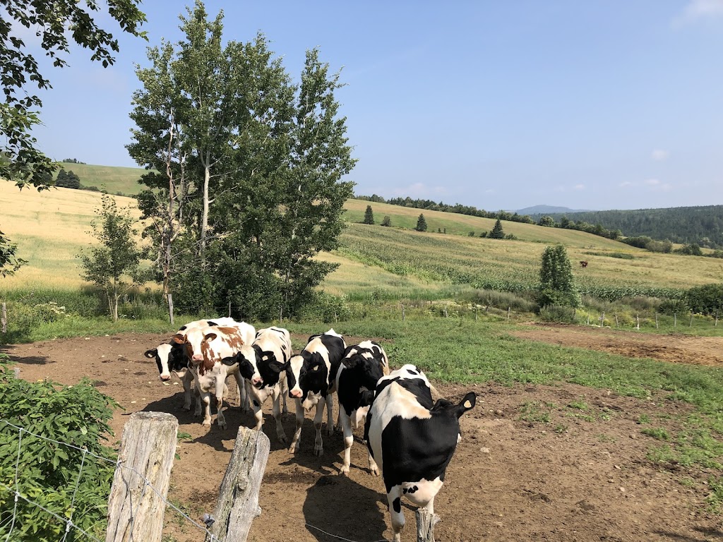 Ferme Séva inc. | 44 Rang Ste Marie, Les Éboulements, QC G0A 2M0, Canada | Phone: (418) 633-0266