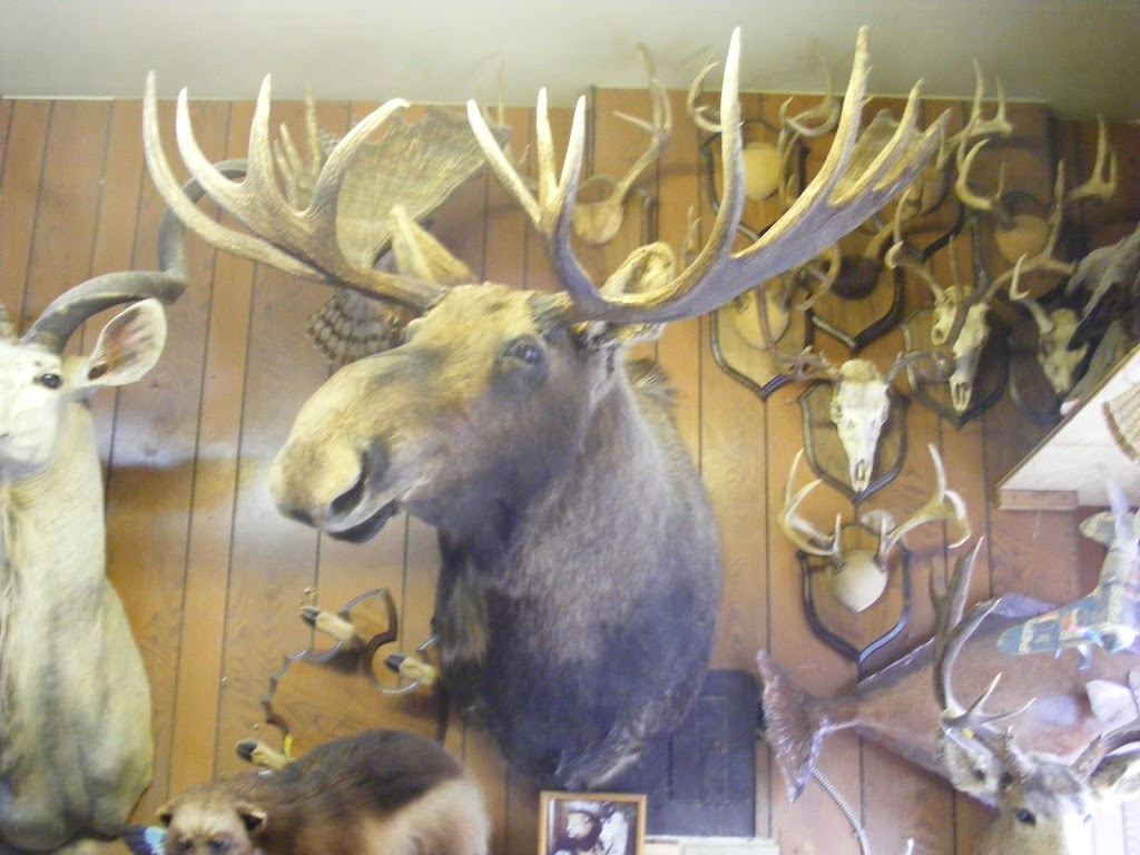 Steve Kulash Taxidermy LTD | River Pl 7261 -205, Mission, BC V4S 0A2, Canada | Phone: (604) 889-7144