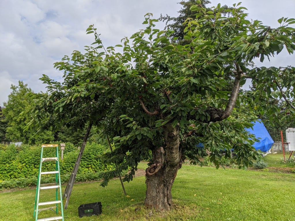 Tasty Acres | 4360 30 St NE, Salmon Arm, BC V1E 2A3, Canada | Phone: (250) 833-4821