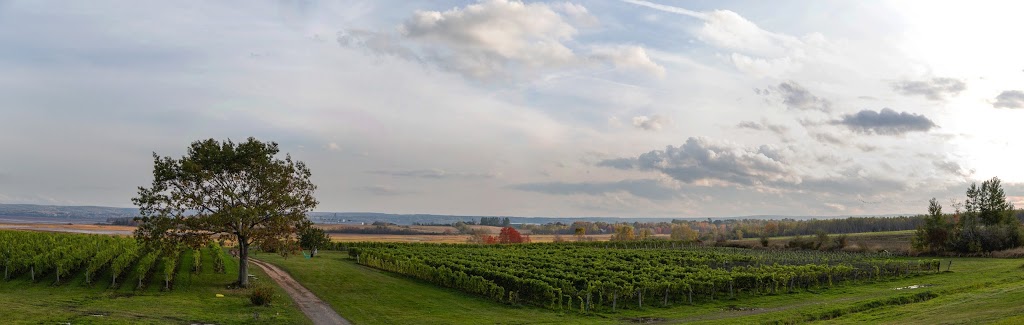 Blomidon Estate Winery | 10318 NS-221, Canning, NS B0P 1H0, Canada | Phone: (902) 582-7565