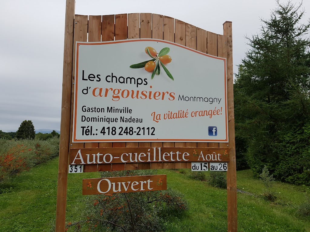 Les Champs dargousiers Montmagny | 352 Chem. des Sucreries, Montmagny, QC G5V 3R9, Canada | Phone: (418) 248-6609