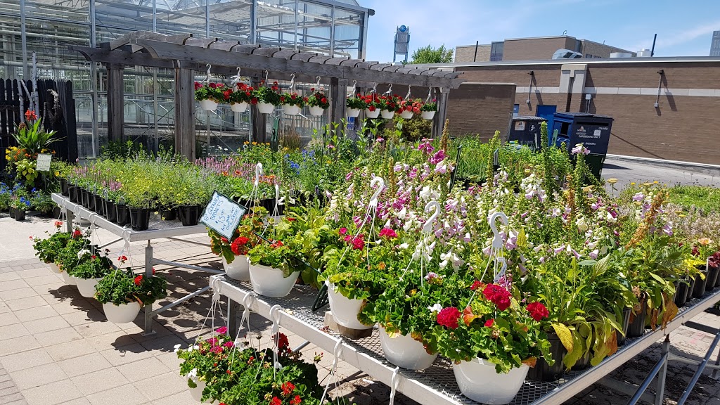 Niagara College Greenhouse Nursery | 135 Taylor Rd, Niagara Falls, ON L2H 0H5, Canada | Phone: (905) 641-2252 ext. 4082